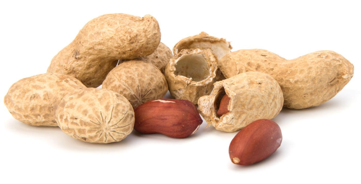 Peanuts